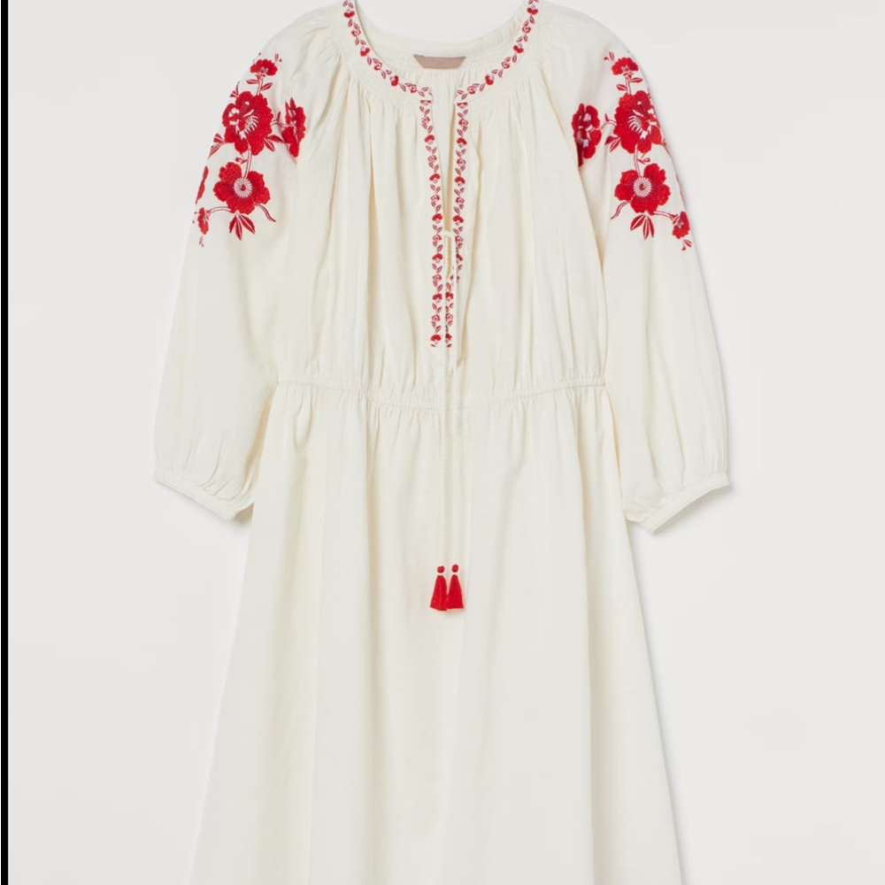 Cotton embroidered midi dress from H&M